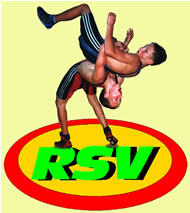 Link zur RSV-Homepage