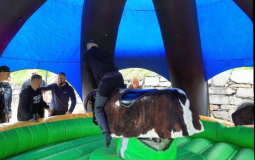 11-Bullriding